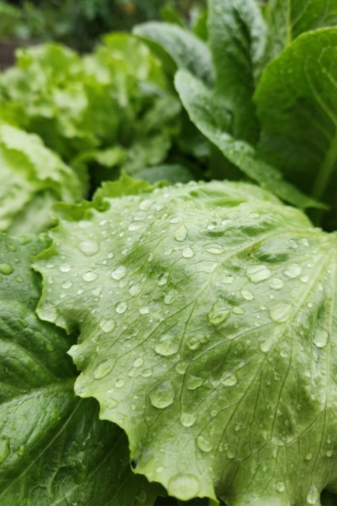 Article Image 2026 01 28T171224.057 1