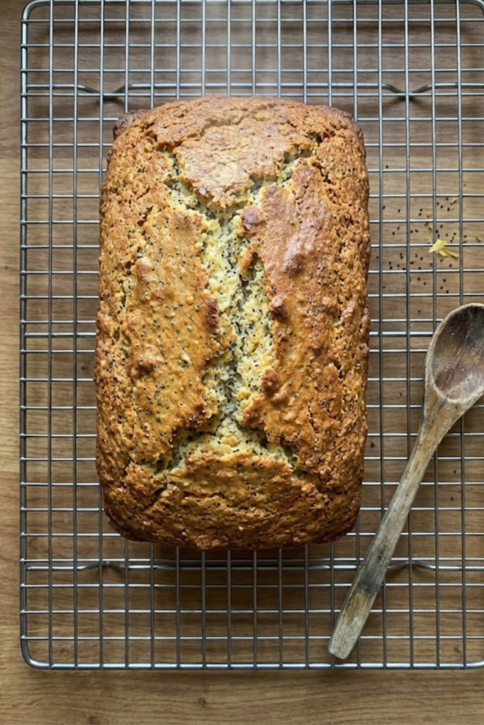 Article Image 2026 02 15T164247.818